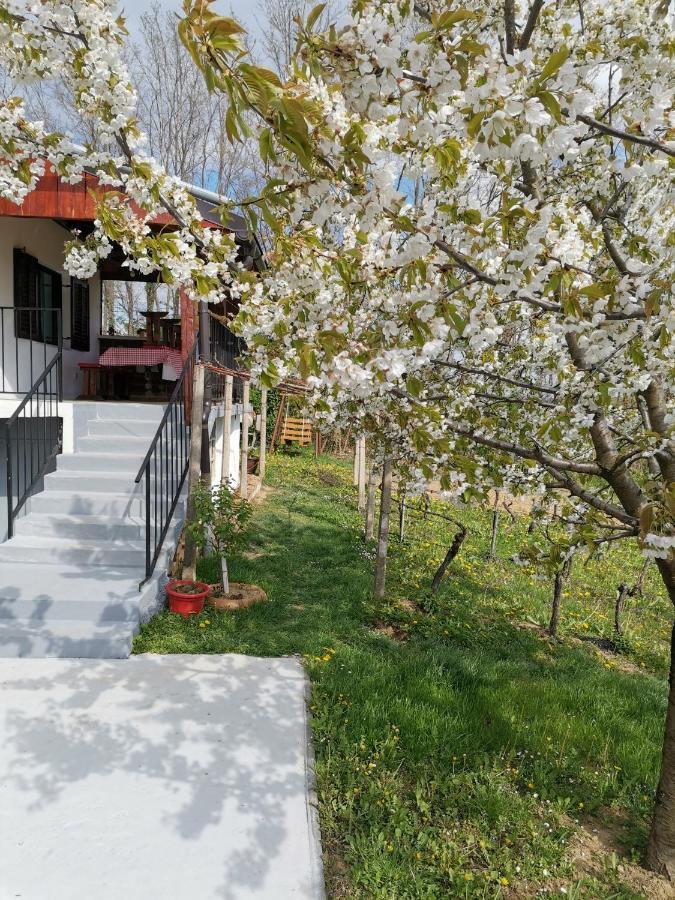 Villa Marijana فرازدينسكي توبليسي المظهر الخارجي الصورة