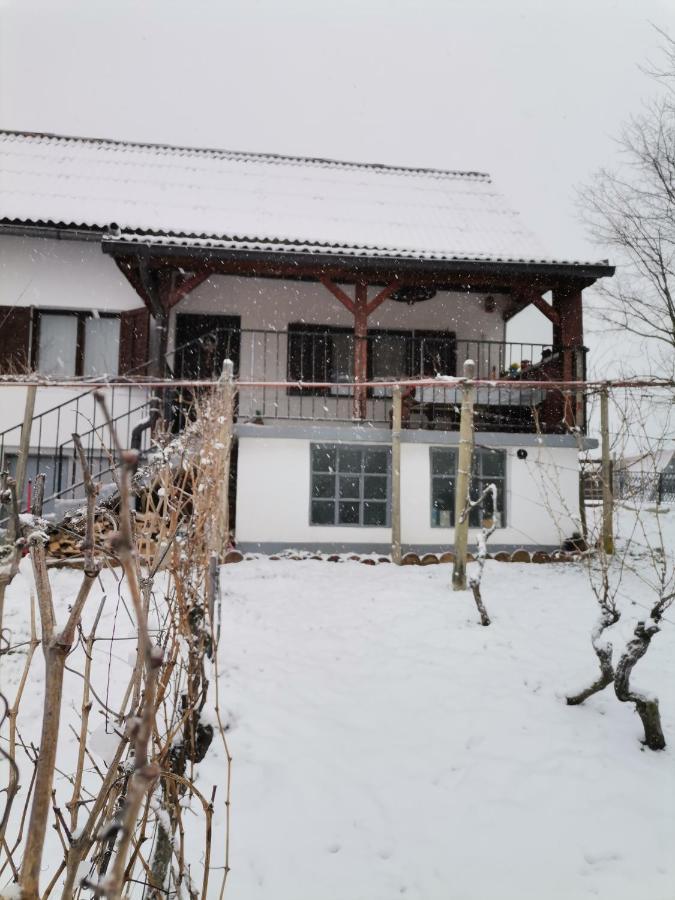 Villa Marijana فرازدينسكي توبليسي المظهر الخارجي الصورة