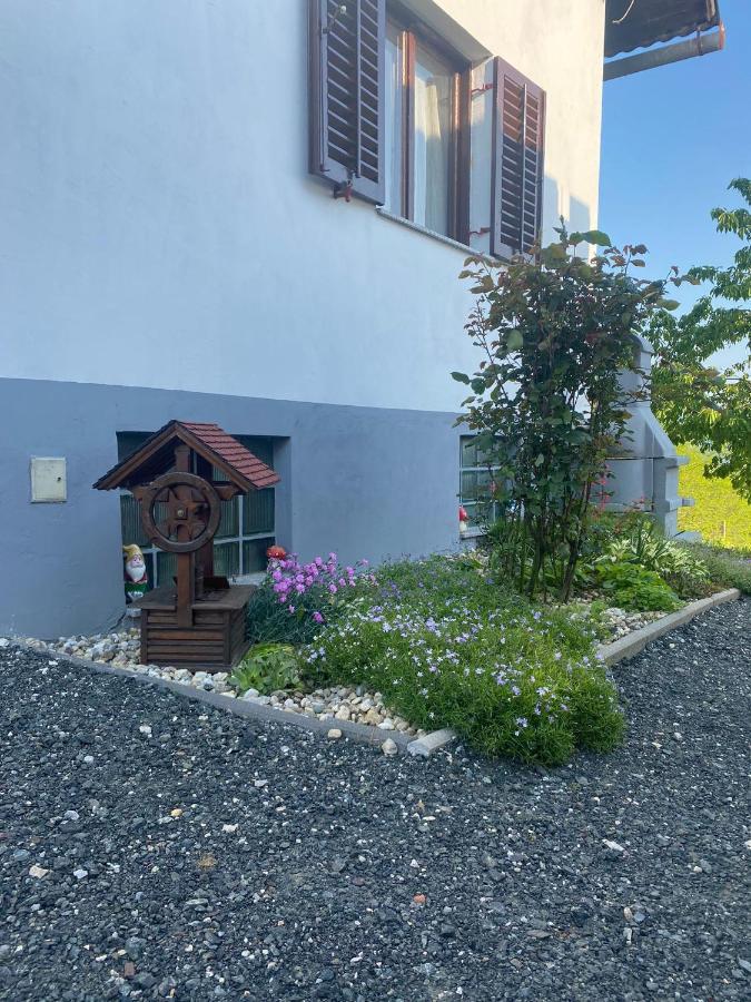 Villa Marijana فرازدينسكي توبليسي المظهر الخارجي الصورة